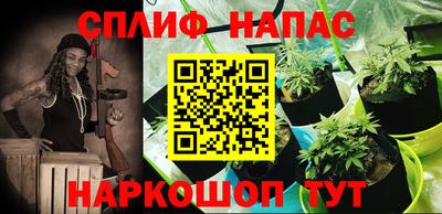 a pvp Тара
