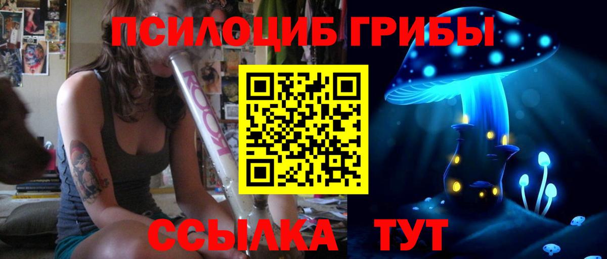 как найти закладки  Вход с VPN  Орёл  Псилоцибиновые грибы Psilocybe  Галлюциногенные грибы прущие грибы 